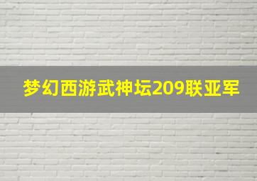 梦幻西游武神坛209联亚军