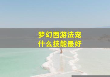 梦幻西游法宠什么技能最好