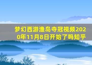 梦幻西游渔岛夺冠视频2020年11月8日开始了吗知乎