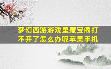 梦幻西游游戏里藏宝阁打不开了怎么办呢苹果手机