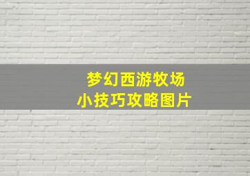 梦幻西游牧场小技巧攻略图片