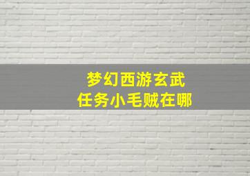 梦幻西游玄武任务小毛贼在哪