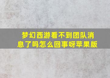 梦幻西游看不到团队消息了吗怎么回事呀苹果版