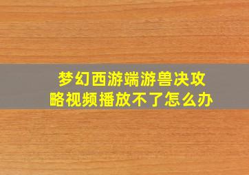 梦幻西游端游兽决攻略视频播放不了怎么办