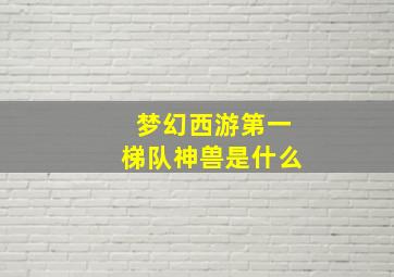 梦幻西游第一梯队神兽是什么