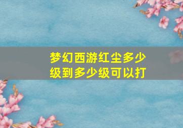 梦幻西游红尘多少级到多少级可以打