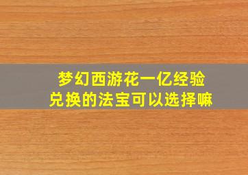 梦幻西游花一亿经验兑换的法宝可以选择嘛