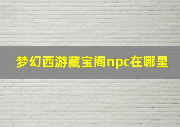 梦幻西游藏宝阁npc在哪里