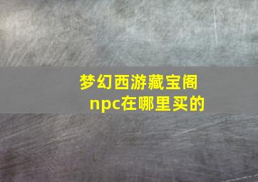 梦幻西游藏宝阁npc在哪里买的