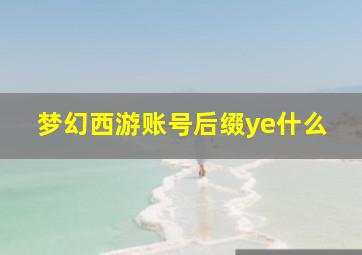 梦幻西游账号后缀ye什么