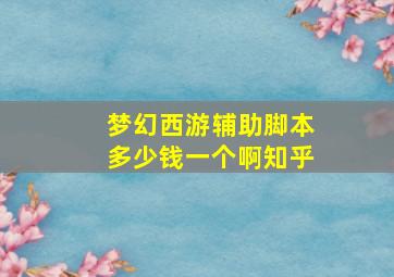 梦幻西游辅助脚本多少钱一个啊知乎