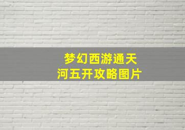 梦幻西游通天河五开攻略图片