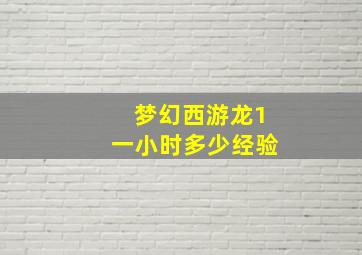 梦幻西游龙1一小时多少经验