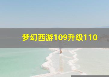 梦幻西游109升级110