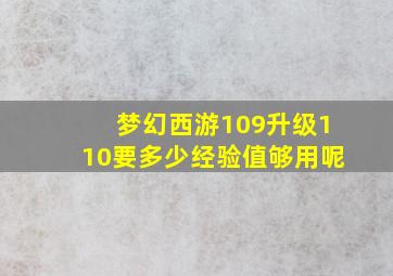 梦幻西游109升级110要多少经验值够用呢