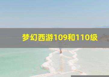 梦幻西游109和110级