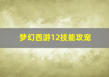 梦幻西游12技能攻宠