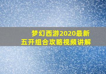 梦幻西游2020最新五开组合攻略视频讲解