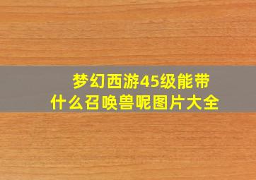 梦幻西游45级能带什么召唤兽呢图片大全