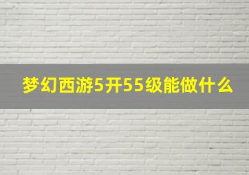 梦幻西游5开55级能做什么