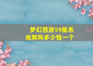 梦幻西游59能杀地煞吗多少钱一个