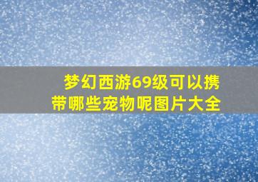 梦幻西游69级可以携带哪些宠物呢图片大全