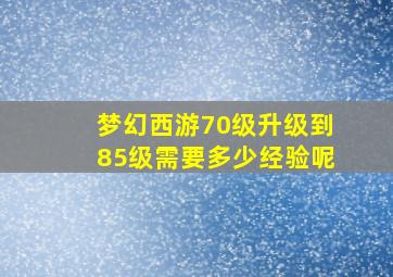 梦幻西游70级升级到85级需要多少经验呢