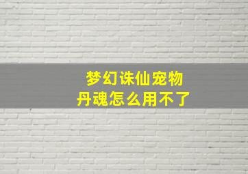 梦幻诛仙宠物丹魂怎么用不了