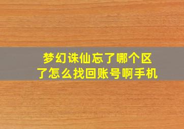 梦幻诛仙忘了哪个区了怎么找回账号啊手机