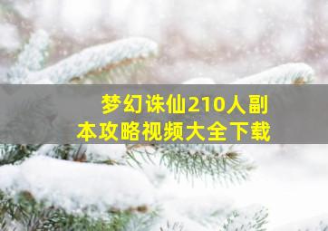 梦幻诛仙210人副本攻略视频大全下载