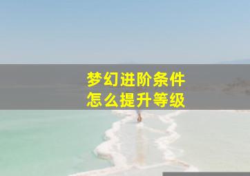 梦幻进阶条件怎么提升等级