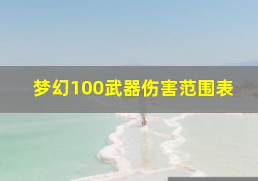 梦幻100武器伤害范围表