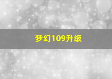 梦幻109升级