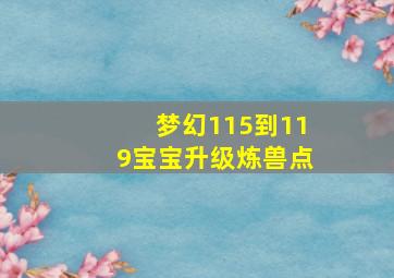 梦幻115到119宝宝升级炼兽点