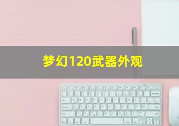 梦幻120武器外观