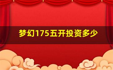 梦幻175五开投资多少