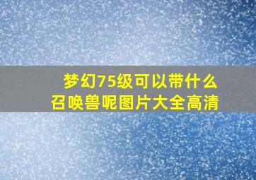 梦幻75级可以带什么召唤兽呢图片大全高清