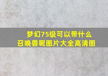 梦幻75级可以带什么召唤兽呢图片大全高清图