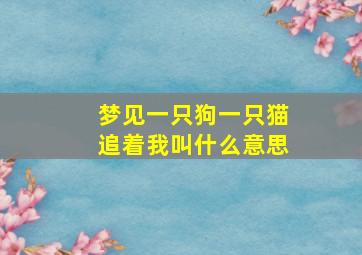 梦见一只狗一只猫追着我叫什么意思