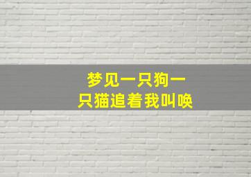 梦见一只狗一只猫追着我叫唤