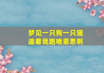 梦见一只狗一只猫追着我跑啥意思啊