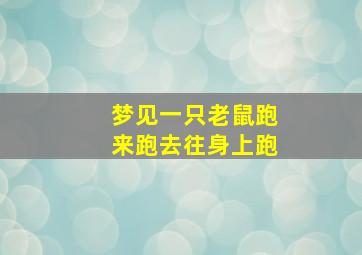 梦见一只老鼠跑来跑去往身上跑