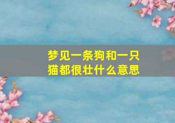 梦见一条狗和一只猫都很壮什么意思