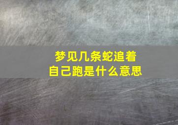 梦见几条蛇追着自己跑是什么意思