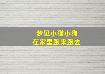 梦见小猫小狗在家里跑来跑去