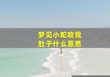 梦见小蛇咬我肚子什么意思