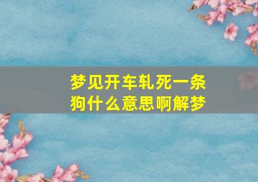 梦见开车轧死一条狗什么意思啊解梦