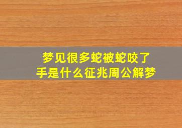 梦见很多蛇被蛇咬了手是什么征兆周公解梦