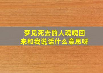 梦见死去的人魂魄回来和我说话什么意思呀