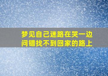 梦见自己迷路在哭一边问错找不到回家的路上